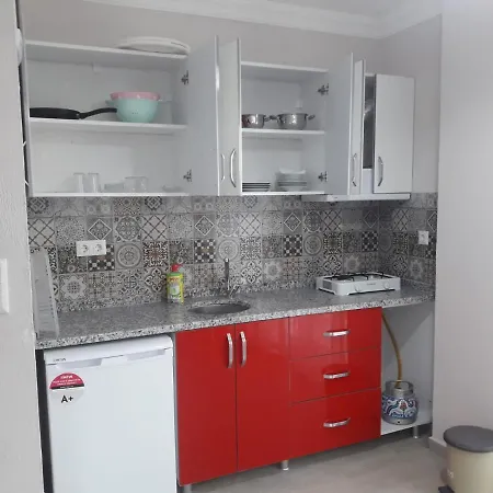 Апартаменты Mugla Oren Daire Миляс